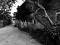 Thumbnail for version as of 03:08, 12 May 2008