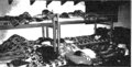 Thumbnail for version as of 08:47, 24 June 2005