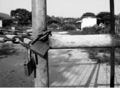 Thumbnail for version as of 03:08, 12 May 2008